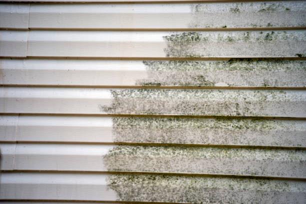 Best Historical Building Siding Restoration  in Lowell, NC